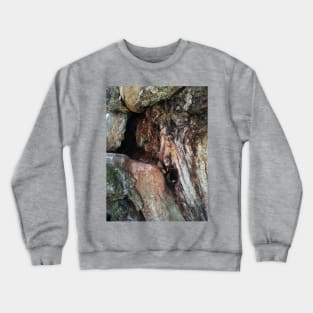 gnarly wood Crewneck Sweatshirt